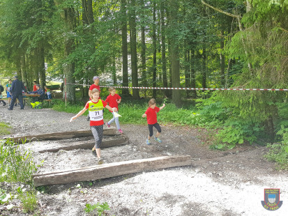 Regijski orientacijski tek gasilske mladine GZ Gorenjske, Planica, 9. 6. 2018