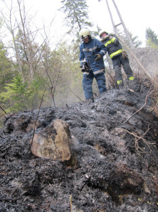 Požar v naravi, Podljubelj, 12. 4. 2011