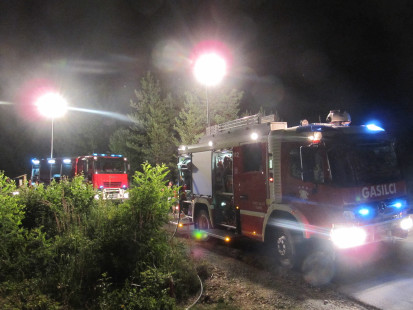Travniški požar Paloviče, 19.7.2013