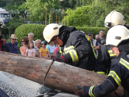 Dan odprtih vrat in združena vaja, 4.7.2014
