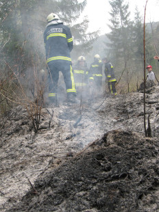 Požar v naravi, Podljubelj, 12. 4. 2011