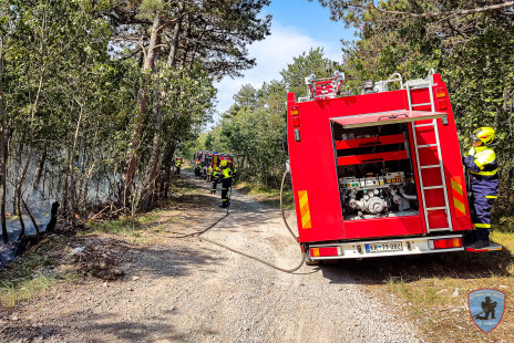 Požar na Krasu, 18. 7. 2022