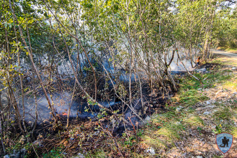 Požar na Krasu, 18. 7. 2022