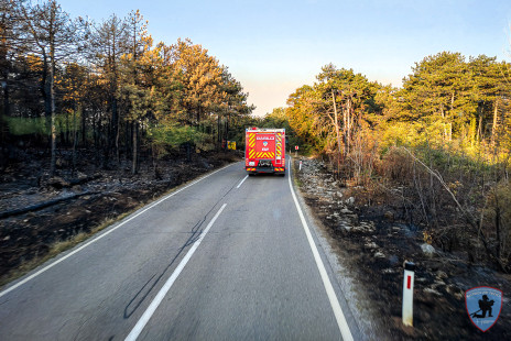 Požar na Krasu, 18. 7. 2022