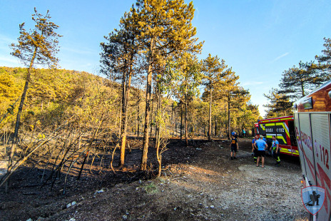 Požar na Krasu, 18. 7. 2022
