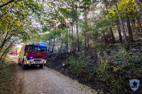 Požar na Krasu, 18. 7. 2022