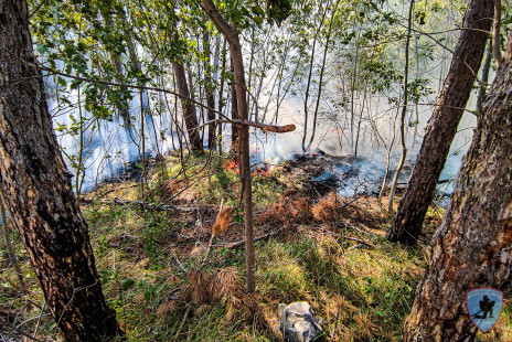 Požar na Krasu, 18. 7. 2022