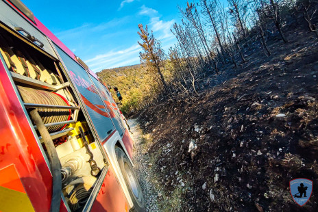 Požar na Krasu, 18. 7. 2022