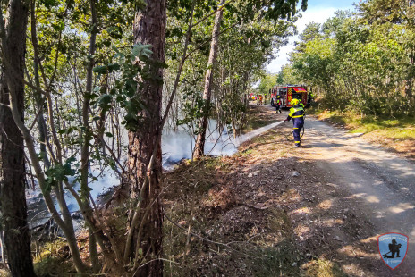 Požar na Krasu, 18. 7. 2022