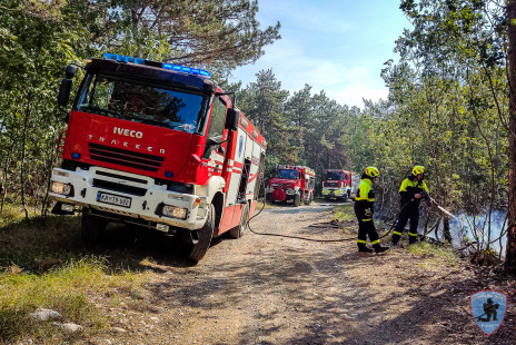 Požar na Krasu, 18. 7. 2022