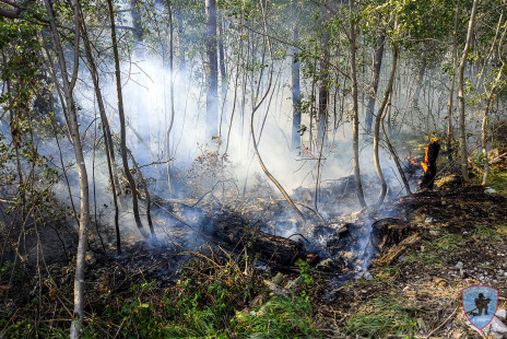 Požar na Krasu, 18. 7. 2022