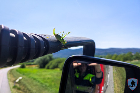 Požar na Krasu, 18. 7. 2022