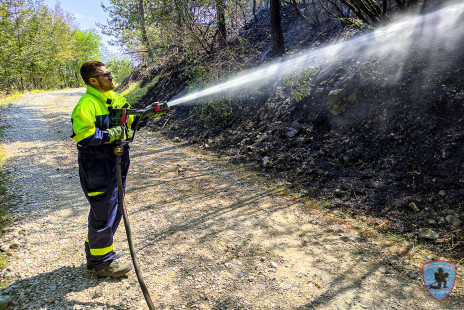 Požar na Krasu, 18. 7. 2022