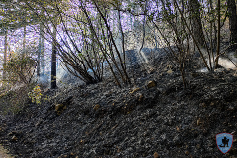 Požar na Krasu, 18. 7. 2022