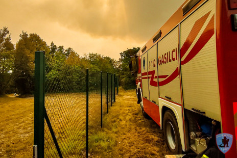 Požar na Krasu, 21. 7. 2022