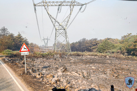 Požar na Krasu, 21. 7. 2022