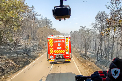 Požar na Krasu, 21. 7. 2022