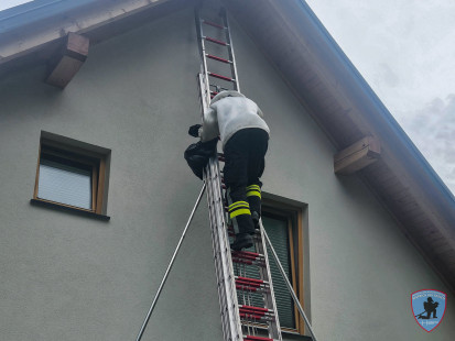 Odstranjevanje osjega gnezda – Visoče, 23.6.2025