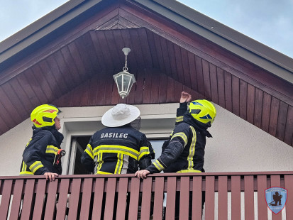 Odstranjevanje sršenjega gnezda – Križe, 26.7.2025