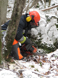 Varno delo z motorno žago, 21. 1. 2011