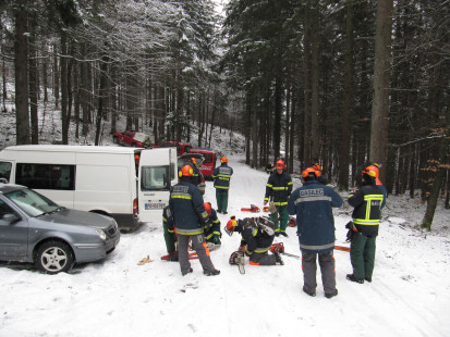 Varno delo z motorno žago, 21. 1. 2011