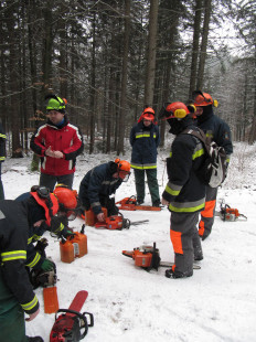 Varno delo z motorno žago, 21. 1. 2011