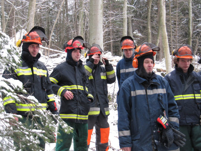Varno delo z motorno žago, 21. 1. 2011