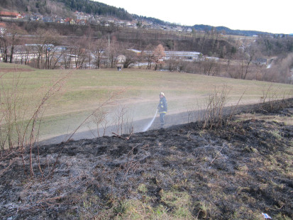 Požar trave za policijo, 8. 1. 2012