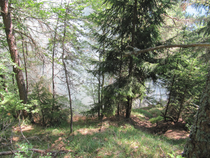 Gozdni požar, Stovc, 19. 8. 2012
