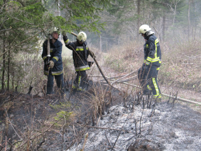 Požar v naravi, Podljubelj, 12. 4. 2011