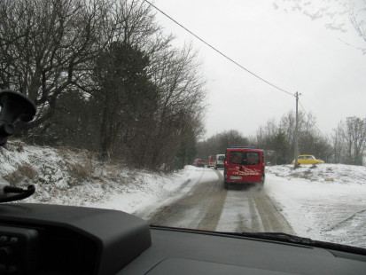 Varno delo z motorno žago, 21. 1. 2011