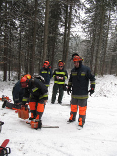 Varno delo z motorno žago, 21. 1. 2011