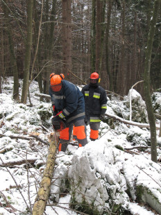 Varno delo z motorno žago, 21. 1. 2011