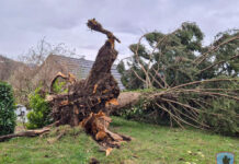 #21, 22, 23, 24: Vetrolom – občina Tržič, 26.3.2026 do 29.3.2026